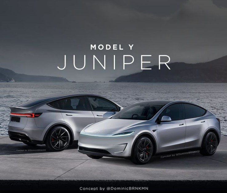 20240808_Model Y_01.jpg