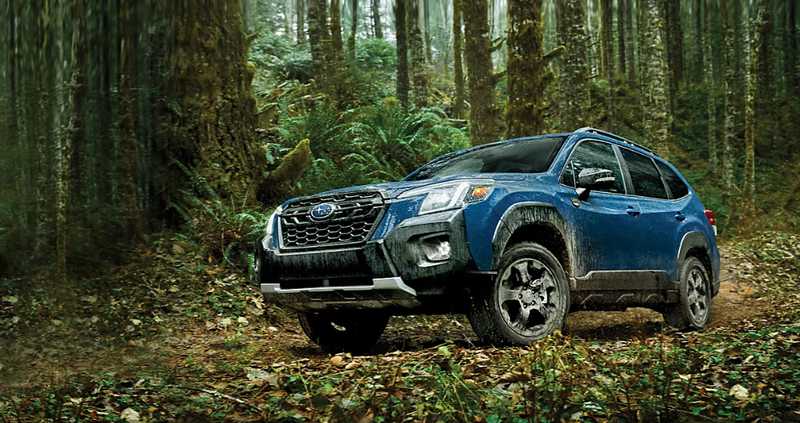 20250215_Subaru Forester (11).png