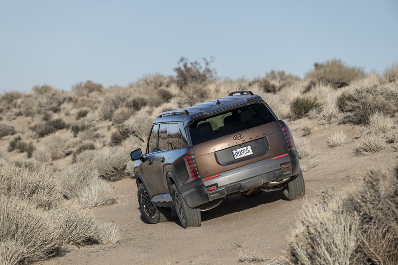 20250501 Hyundai Palisade_01A.jpg