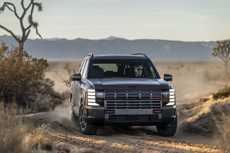 20250501 Hyundai Palisade_02.jpg