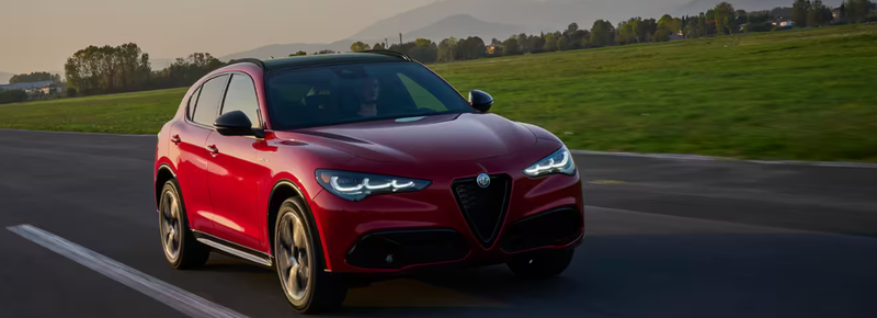 20250524_STELVIO 1.png