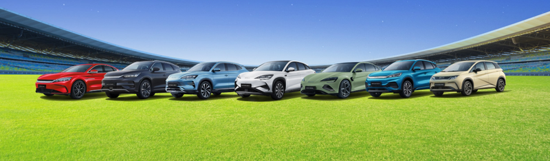 20250531_BYD_4.png
