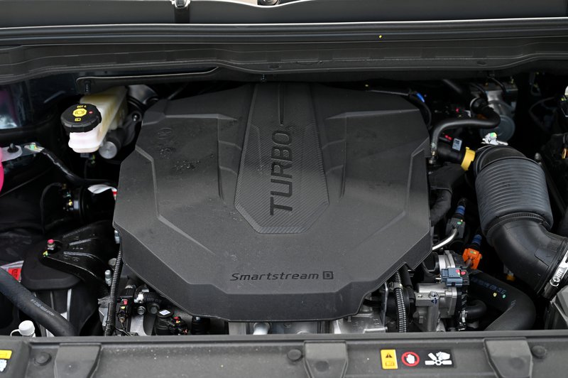 FE240326tzjz12.JPG