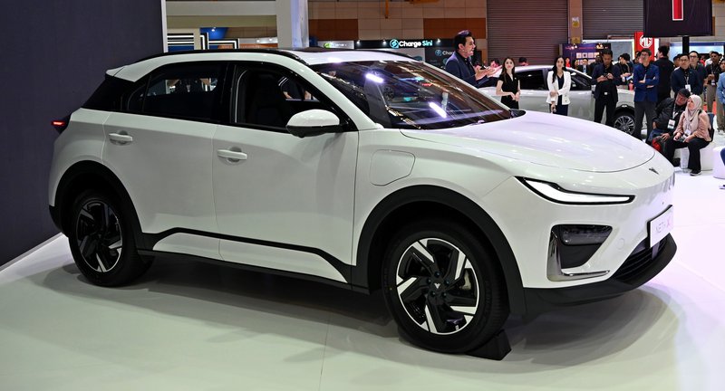FE240522tzjz255.JPG
