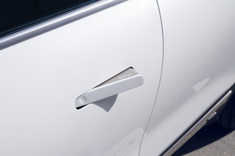 smart1-feature-doorhandle (1).jpg